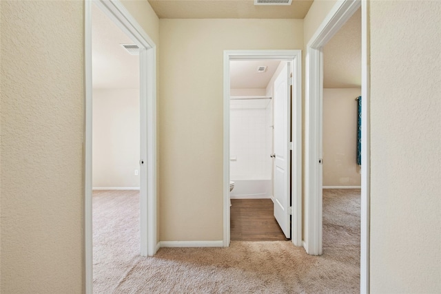 14308 Deaf Smith Blvd, Austin, TX 78725 - photo 10