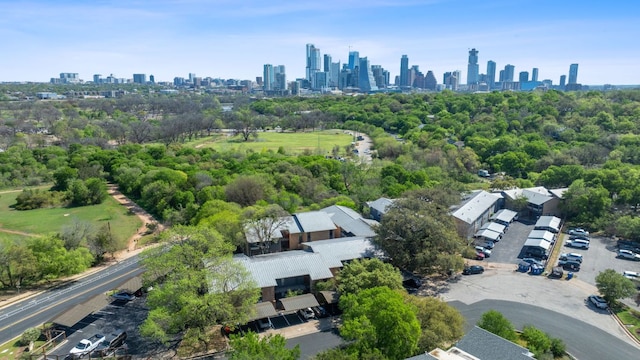 1101 Hollow Creek Dr Unit 2203, Austin, TX 78704 - drone / aerial view of skyline