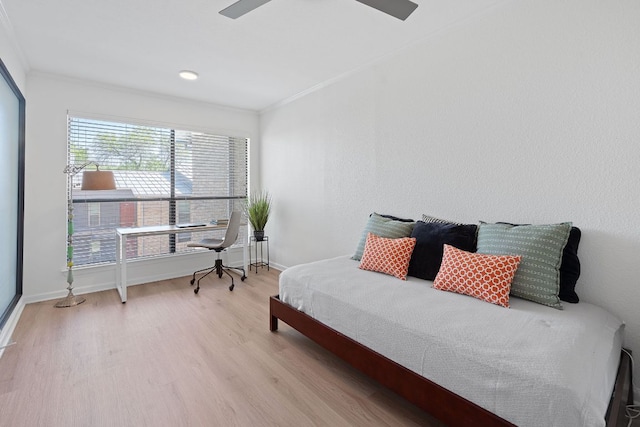 1101 Hollow Creek Dr Unit 2203, Austin, TX 78704 - bedroom featuring light wood-style flooring, ornamental molding, baseboards, and ceiling fan