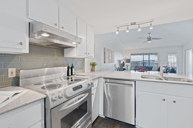 1101 Hollow Creek Dr Unit 2203, Austin, TX 78704 - kitchen with stainless steel appliances, under cabinet range hood, a sink, a ceiling fan, and decorative backsplash