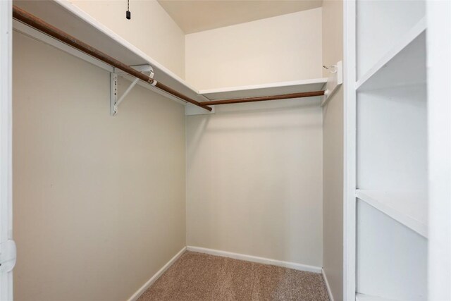 8313 Renton Dr, Austin, TX 78757 - spacious closet featuring carpet