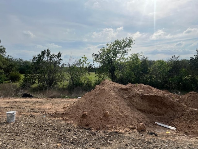 909 Landing Ln, Leander, TX 78641 - view of local wilderness