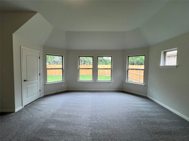 18204 Willow Sage Ln, Elgin, TX 78621 - unfurnished room featuring carpet flooring, healthy amount of natural light, and vaulted ceiling