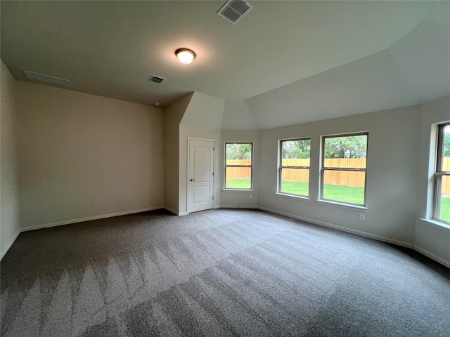 18204 Willow Sage Ln, Elgin, TX 78621 - unfurnished room with carpet flooring and vaulted ceiling