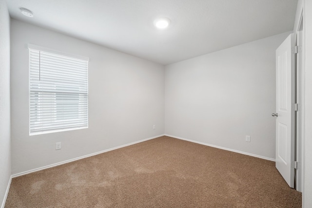 spare room featuring baseboards and carpet flooring