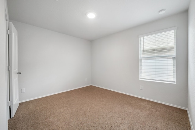 spare room with baseboards and carpet