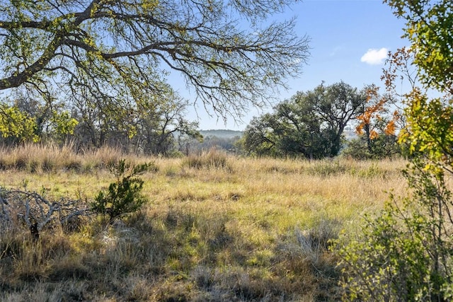 LOT91 Axis Cir, Fredericksburg, TX 78624 - photo 13