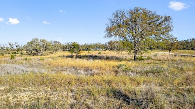 LOT91 Axis Cir, Fredericksburg, TX 78624 - photo 4