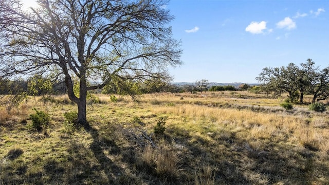 LOT91 Axis Cir, Fredericksburg, TX 78624 - photo 5