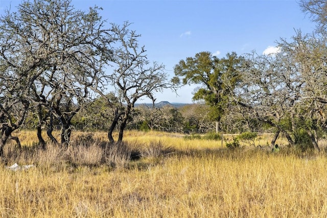 LOT91 Axis Cir, Fredericksburg, TX 78624 - photo 7