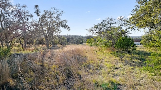 LOT91 Axis Cir, Fredericksburg, TX 78624 - photo 11