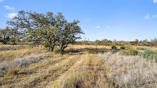 LOT91 Axis Cir, Fredericksburg, TX 78624 - photo 14