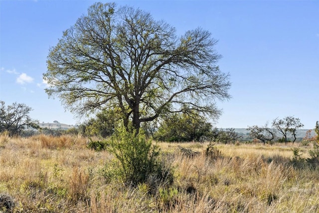 LOT91 Axis Cir, Fredericksburg, TX 78624 - photo 18