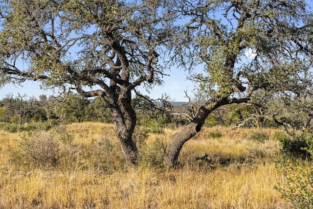 LOT91 Axis Cir, Fredericksburg, TX 78624 - photo 19