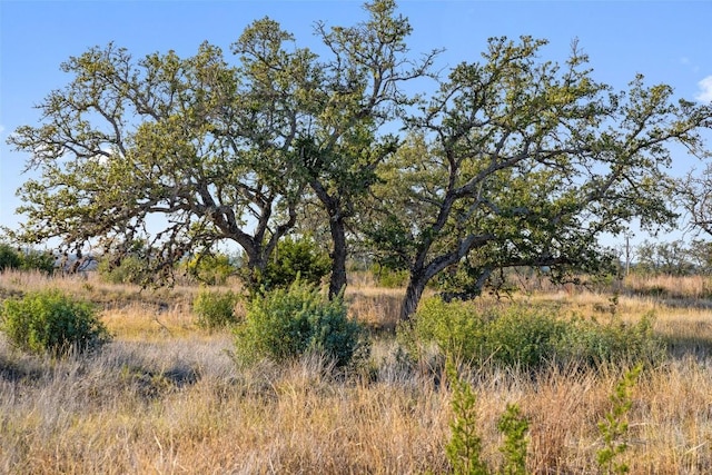 LOT91 Axis Cir, Fredericksburg, TX 78624 - photo 26