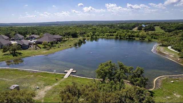 196 Left Fork Dr, Kyle, TX 78640 - photo 31