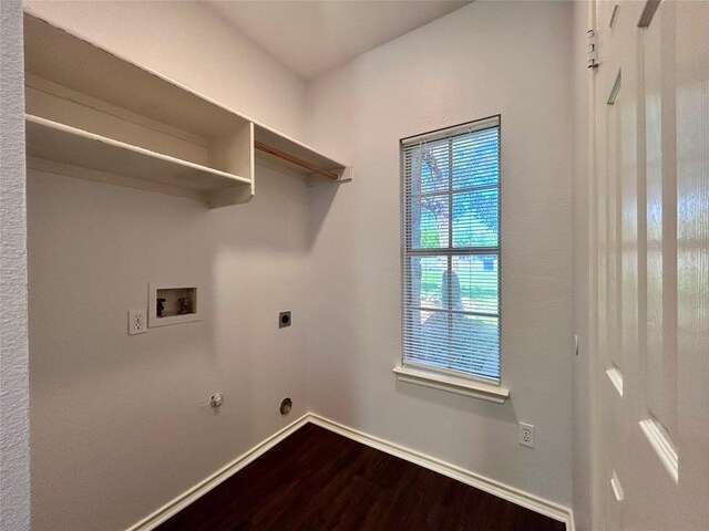 12307 Abney Dr, Austin, TX 78729 - photo 5