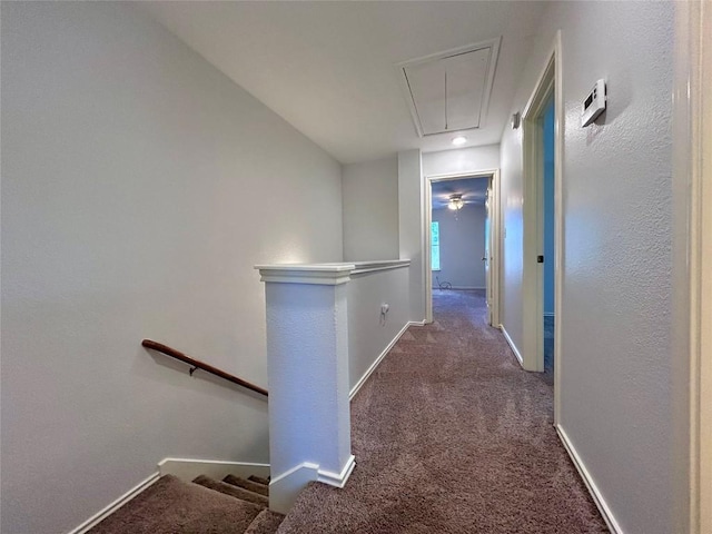 12307 Abney Dr, Austin, TX 78729 - photo 9