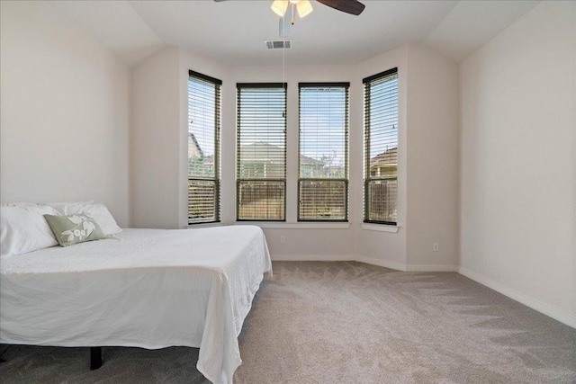 6725 Verona Pl, Round Rock, TX 78665 - bedroom with carpet flooring, ceiling fan, and lofted ceiling