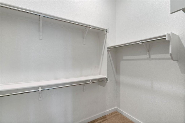 6725 Verona Pl, Round Rock, TX 78665 - walk in closet featuring carpet floors