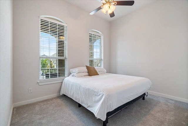 6725 Verona Pl, Round Rock, TX 78665 - carpeted bedroom with multiple windows and ceiling fan