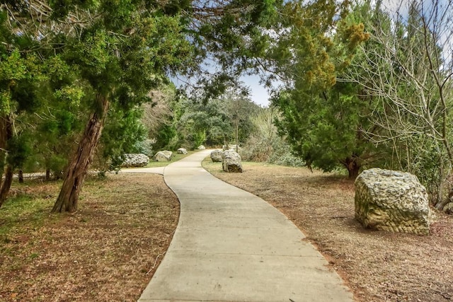 1012 Peyton Pl, Cedar Park, TX 78613 - surrounding community