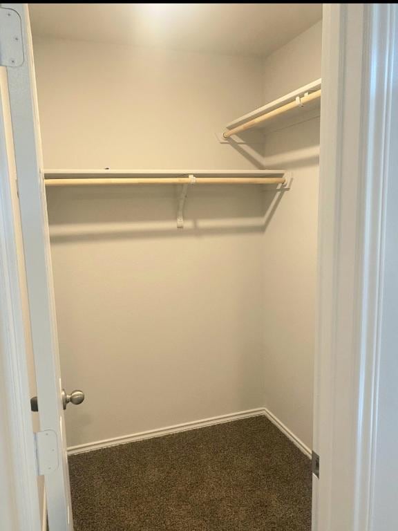 1124 Velvet Ct, Troy, TX 76579 - walk in closet with carpet