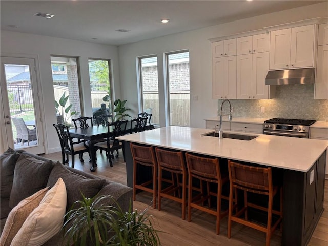 22046 Gateway Arch Dr, Porter, TX 77365 - kitchen with a sink, under cabinet range hood, stainless steel gas stove, open floor plan, and light wood-type flooring