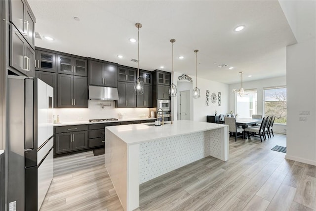 2420 Novara Trl, Leander, TX 78641 - kitchen with stainless steel appliances, under cabinet range hood, an island with sink, light countertops, and light wood-style floors