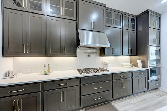 2420 Novara Trl, Leander, TX 78641 - kitchen featuring under cabinet range hood, stainless steel appliances, light countertops, and light wood-style floors