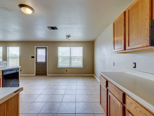 335 Dandelion Loop, Kyle, TX 78640 - photo 23