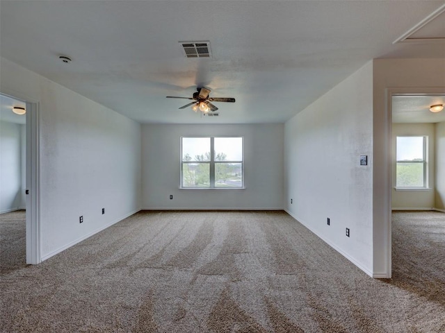 335 Dandelion Loop, Kyle, TX 78640 - photo 25
