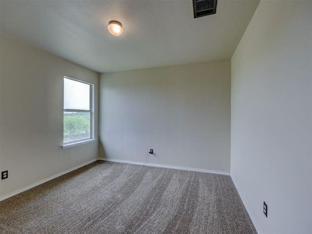 335 Dandelion Loop, Kyle, TX 78640 - photo 32