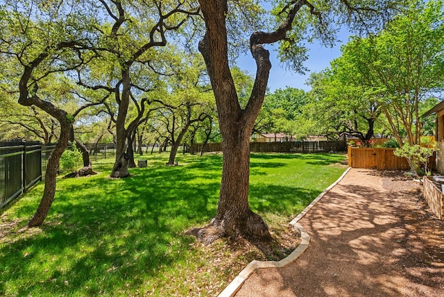 view of yard with a fenced backyard