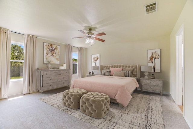 402 Washington Square Dr, Leander, TX 78641 - carpeted bedroom with multiple windows, a ceiling fan, and baseboards