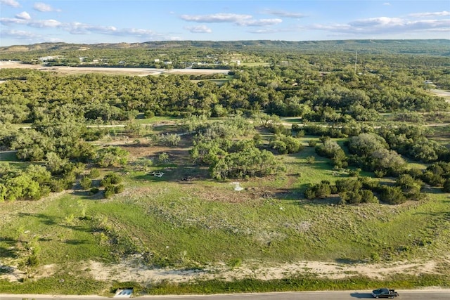107 E Flying Owl Dr, Johnson City, TX 78636