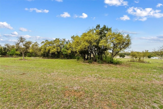 107 E Flying Owl Dr, Johnson City, TX 78636 - photo 12