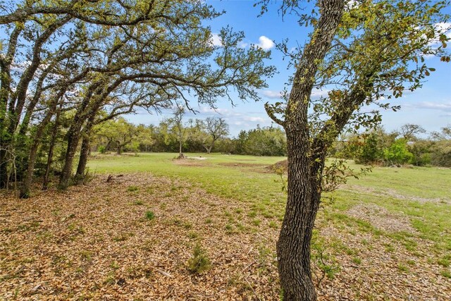 107 E Flying Owl Dr, Johnson City, TX 78636 - photo 13