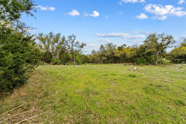 107 E Flying Owl Dr, Johnson City, TX 78636 - photo 21