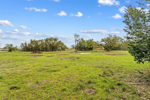 107 E Flying Owl Dr, Johnson City, TX 78636