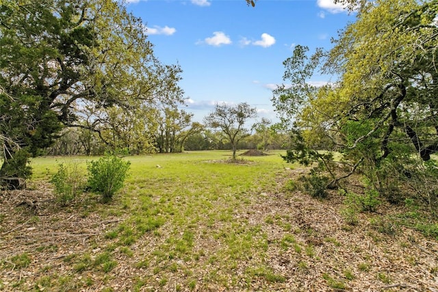 107 E Flying Owl Dr, Johnson City, TX 78636