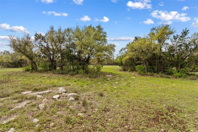 107 E Flying Owl Dr, Johnson City, TX 78636 - photo 27