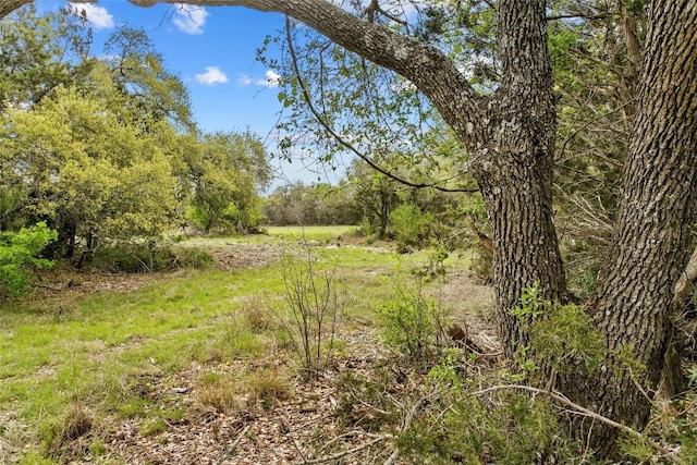 107 E Flying Owl Dr, Johnson City, TX 78636