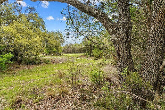 107 E Flying Owl Dr, Johnson City, TX 78636 - photo 38