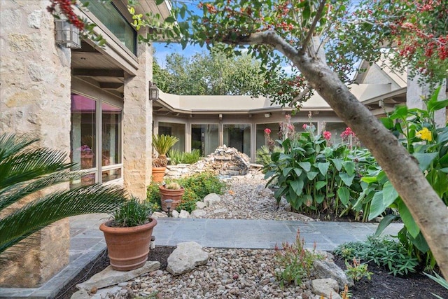 24736 Travis Lakeside Cv, Spicewood, TX 78669 - view of yard