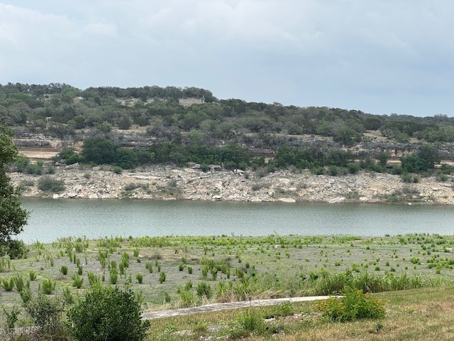 24736 Travis Lakeside Cv, Spicewood, TX 78669 - water view
