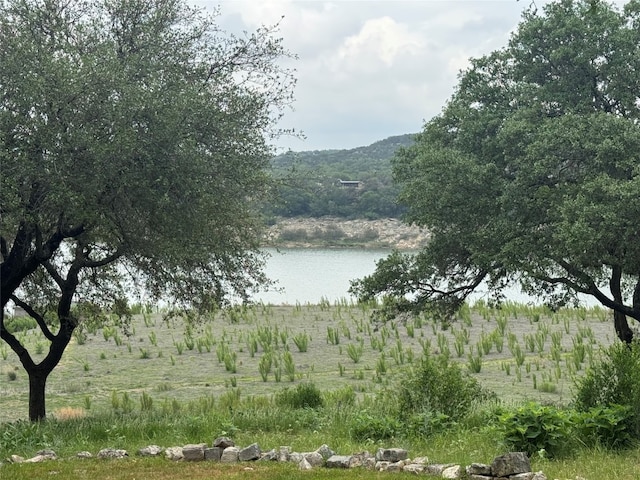 24736 Travis Lakeside Cv, Spicewood, TX 78669 - water view featuring rural landscape
