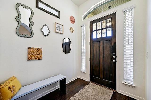 2605 Etta May Ln, Leander, TX 78641 - foyer entrance featuring baseboards and dark wood-style flooring