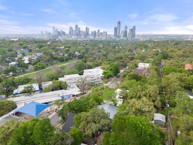 2007 Alameda Dr, Austin, TX 78704 - bird's eye view of city skyline