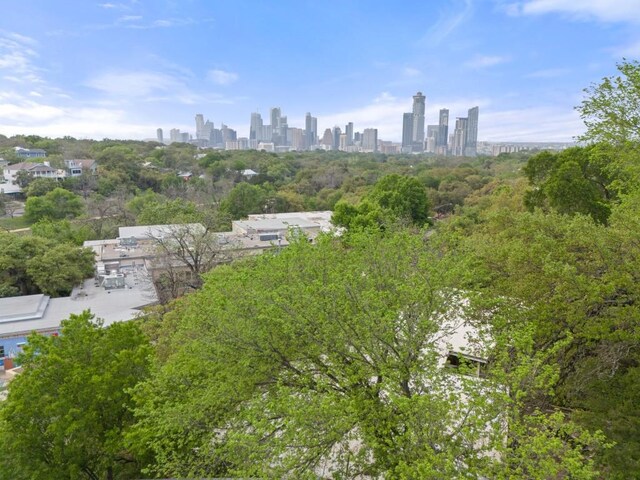 2007 Alameda Dr, Austin, TX 78704 - aerial view of city skyline